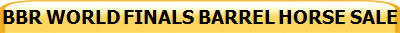 BBR WORLD FINALS BARREL HORSE SALE